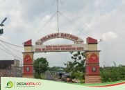 Asal-usul Desa Mejoyolosari Jombang: Dulunya Hutan Lebat, Dimerger Saat Zaman Belanda
