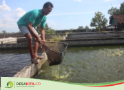 Punya Beragam Potensi Unggulan, Ini Langkah Pemdes Kedungbetik Jombang Wujudkan Kemandirian Ekonomi Masyarakat