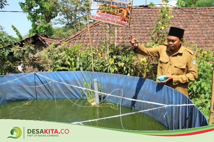 Lewat Program Budi Daya Ikan Nila, Cara Pemdes Panglungan, Wonosalam Jombang Wujudkan Kemandirian Ekonomi Masyarakat