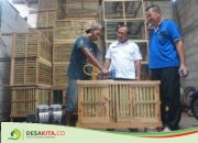 Warganya Pandai Bikin Kandang Hewan Berkualitas, Desa Gempollegundi, Gudo Jombang Kini Punya Julukan Kampung Kombong