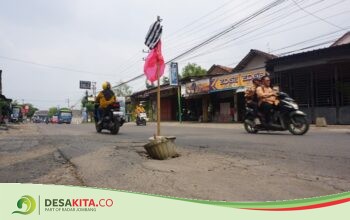 Waspada! Jalan Rusak di Desa Selorejo, Mojowarno Jombang Ditandai Pot Bunga