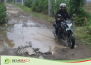 Hati-Hati! Lewat di Desa Jatigedong Jombang Ini Banyak Kubangan di Tengah Jalan