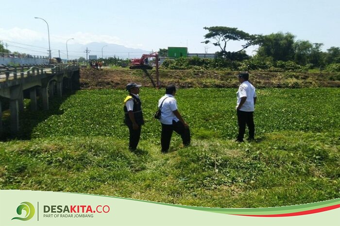 Sungai Penuh Eceng Gondok di Desa Madiopuro Jombang Akhirnya Dibersihkan, Dinas PUPR: Butuh Waktu Tiga Hari