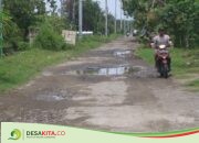 Lubang Bertebaran Membentuk Kubangan, Begini Kondisi Jalan Rusak Dua Desa di Jombang