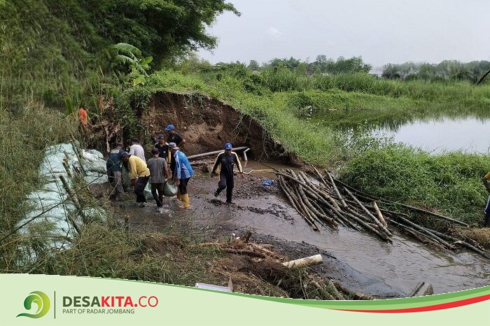 Tanggul Konto Surabaya di Jombang yang Jebol Ditangani Darurat, Begini Kondisinya Sekarang