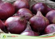 Demam Nggak Turun? Ini 5 Fakta Bawang Merah Jadi Alternatif Obat Penurun Panas
