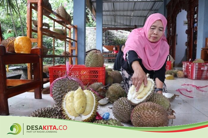 Banyak Diburu! Durian Bawor Asli Desa Jarak, Wonosalam Jombang Rasanya Legit Pahit, Berdaging Tebal