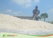 Produktif! Warga Desa Podoroto Jombang Manfaatkan Limbah Ampas Kelapa Jadi Cuan