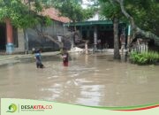 Bikin Aktivitas Warga Desa Kedungbetik Jombang Terganggu, Luapan Afvour Kedungbajul ke Permukiman