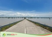 Puluhan Hektare Sawah di Desa Kedungbetik, Kesamben Jombang Masih Tergenang Banjir, Petani Was-Was