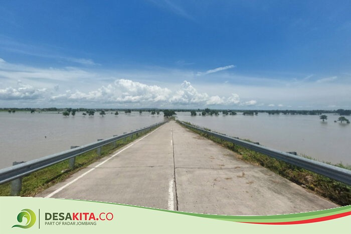 Puluhan Hektare Sawah di Desa Kedungbetik, Kesamben Jombang Masih Tergenang Banjir, Petani Was-Was