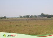 Digelontor Rp 22,6 Miliar, Pembangunan Pasar Baru di Desa Denanyar Jombang Belum Jelas