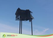 Rubuha di Desa Kedungmlati Jombang Minim Perawatan, Kondisinya Hancur