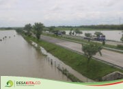 Banjir Melanda! 150 Hektare Lahan Pertanian di Desa Kedungbetik, Kesamben Jombang Terendam Selama 4 Hari, Padi Terancam Mati