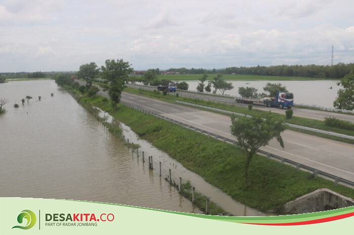Banjir Melanda! 150 Hektare Lahan Pertanian di Desa Kedungbetik, Kesamben Jombang Terendam Selama 4 Hari, Padi Terancam Mati