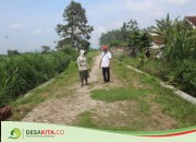 Komitmen Tingkatkan Infrastruktur Pertanian, Pemdes Banyuarang, Ngoro Jombang Permudah Akses untuk Petani