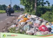 Bahu Jalan Kabupaten di Desa Pulorejo Tembelang Jombang Jadi Jujugan Warga Buang Sampah, Timbulkan Bau Busuk Menyengat