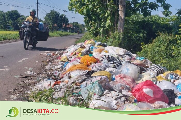 Bahu Jalan Kabupaten di Desa Pulorejo Tembelang Jombang Jadi Jujugan Warga Buang Sampah, Timbulkan Bau Busuk Menyengat