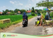 Duiker di Desa Dapurkejambon Jombang Rusak, Ditandai dengan Batang Pisang
