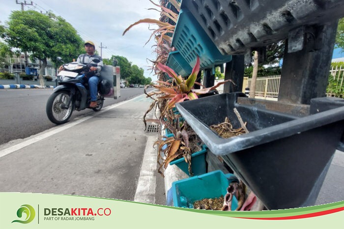 Banyak Tanaman Mati, Taman Vertikal Trotoar Jl KH Wahid Hasyim Jombang Butuh Perawatan