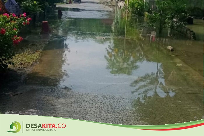 Enam Desa di Utara Brantas Terdampak Banjir, Imbas Kali Marmoyo Jombang Meluap