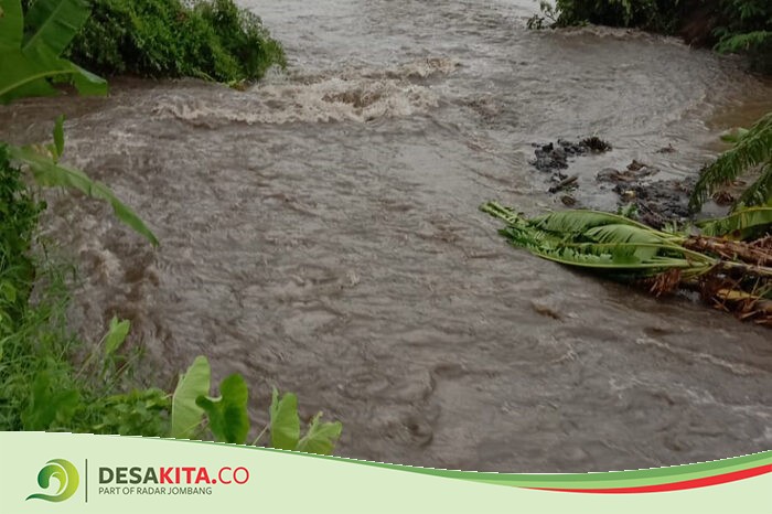 Tanggul Saluran Konto Surabaya di Desa Rejoagung Ngoro Jombang Kembali Jebol, Bikin Sawah dan Kolam Tergenang