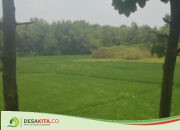 Dianggarkan dari APBN, Pemerintah Bakal Bangun Embung Seluas 4,8 Hektare di Desa Purisemanding Plandaan Jombang