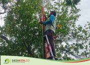 Heppiii Community Pasang Ratusan Lampu PJU di 20 Desa di Jombang, Koordinator: Tahun Ini Lebih Banyak Karena Kita Bikin Rata