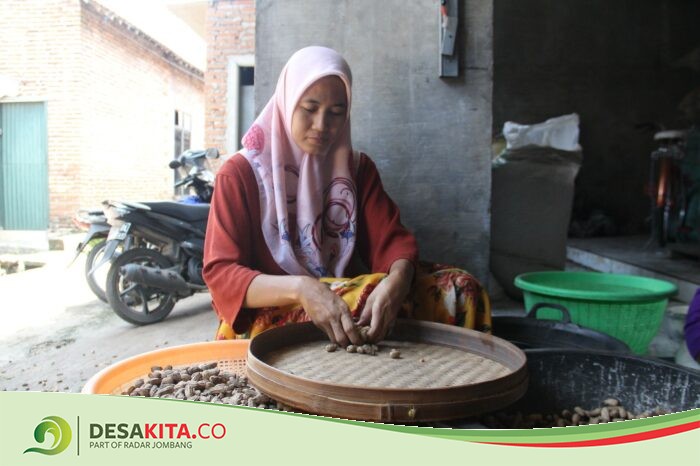 Cocok Jadi Cemilan Saat Lebaran, Permintaan Kacang Kulit di Desa Selorejo Mojowarno Jombang Meningkat