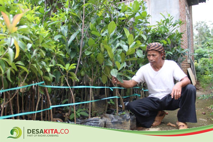 Rutin Sejak 1999, Pemdes Panglungan Wonosalam Jombang Lestarikan Kawasan Hutan Konservasi