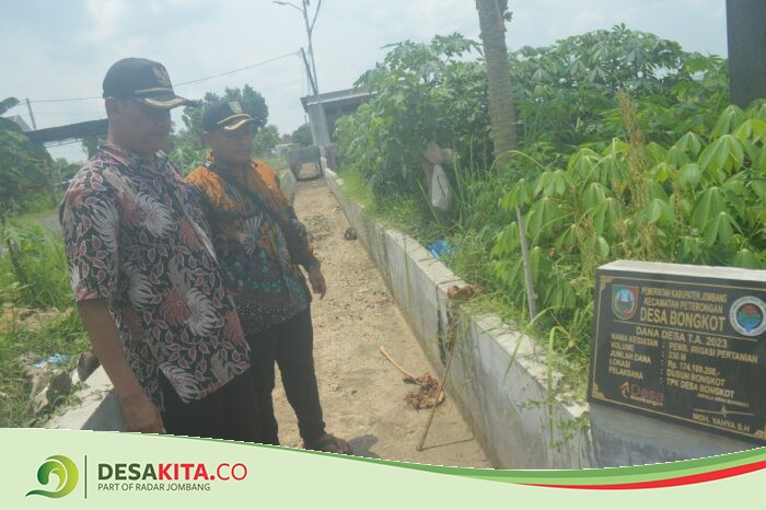 Bangunkan Jaringan Irigasi Tingkat Usaha Tani, Cara Pemdes Bongkot Peterongan Jombang Dongkrak Produktivitas Pertanian