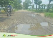 Rusak Menahun, Jalan di Desa Gebangbunder Jombang Jadi Kubangan Saat Hujan, Ini Alasan Belum Diperbaiki