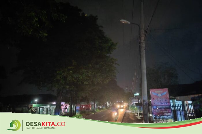 Sering Padam, PJU di Desa Denanyar Jombang Dikeluhkan Warga, Ini Penyebabnya
