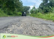Jalang Penghubung Kecamatan Tembelang – Kesamben di Desa Kepuhdoko Jombang Rusak Berat, Aspal Mengelupas dan Bergelombang