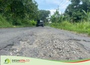 Jalur Alternatif Penghubung Kesamben – Tembelang Jombang Dihiasi Lubang, Begini Kondisinya