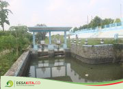 Kepala Desa Purisemanding Jombang Ungkap 7 Desa Kesulitan Irigasi, Dampak Pintu Dam Karet Rusak