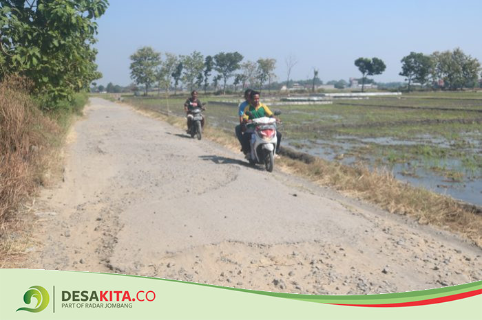 Jalan di Desa Rejosopinggir Jombang Rusak Berat, Tak Nyaman Dilalui, Belum Pernah Tersentuh Perbaikan