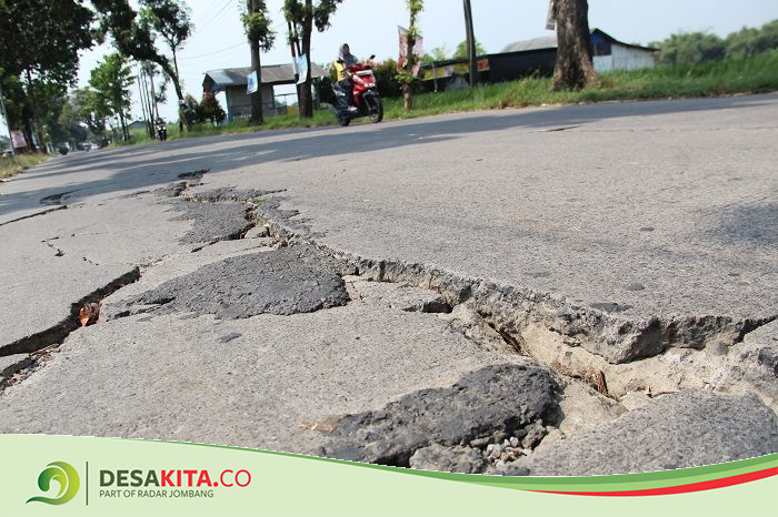 Pengendara Harus Waspada! Jalan Cor di Desa Banjaragung Jombang Muncul Keretakan, Begini Kondisinya