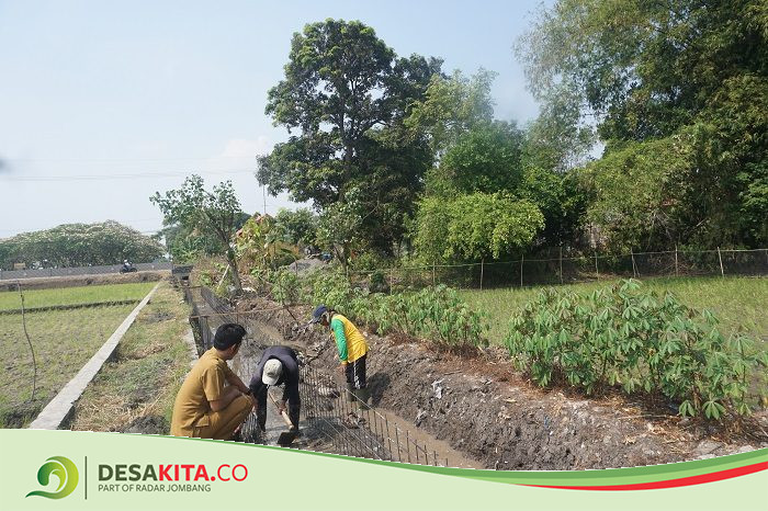 Pemdes Pulorejo Tembelang Jombang Tingkatkan Infrastruktur Pertanian, Bangun Saluran Irigasi dari Dana Desa