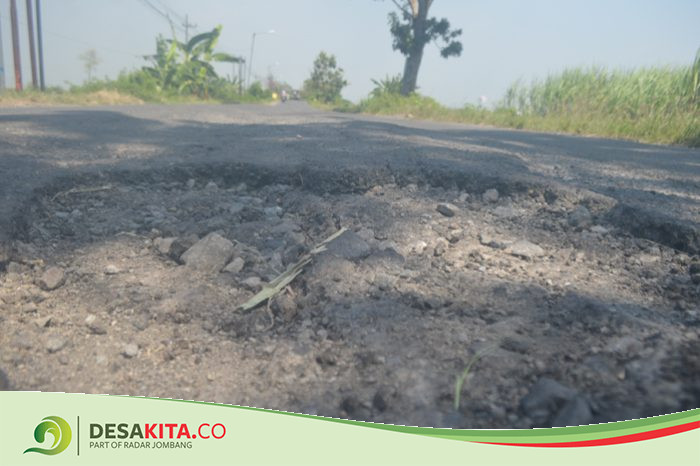 Belum Tersentuh Perbaikan, Jalan Kabupaten di Desa Watudakon Muncul Lubang Menganga
