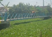 Putus Sejak 2019, Jembatan di Desa Kudubanjar Jombang Akhirnya Masuk Usulan Perbaikan, Segini Nominalnya