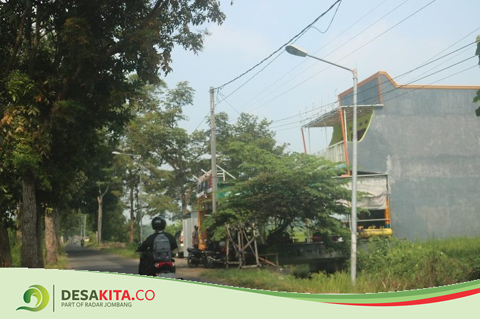 Lampu PJU di Desa Keras Jombang Nyaris Ambruk, Begini Kondisinya