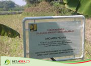 Rencana Pembangunan Embung di Desa Purisemanding Jombang Belum Dipastikan, Pemerintah Mulai Pasang Patok dan Papan Larangan