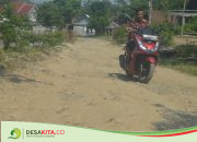 10 Tahun Rusak Tak Ada Perbaikan, Begini Penampakan Jalan di Desa Darurejo Jombang