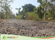 Tambal Sulam Tak Mempan, Jalan di Desa Kepuhdoko Jombang Rusak Berat, Begini Kondisinya