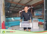 Perawatan Mudah dan Pakan Melimpah Jadi Alasan Warga Jombang Budi Daya Lobster Air Tawar