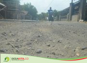 Sempat Ditambal, Jalan Kabupaten di Desa Tondowulan Jombang Rusak Lagi