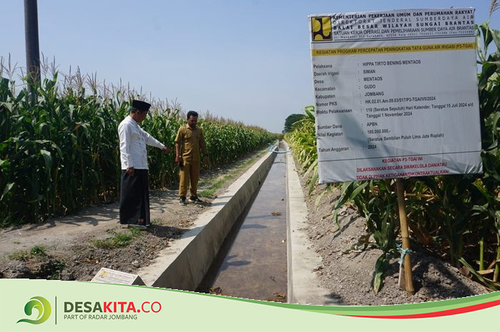 Tingkatkan Produktivitas Pertanian, Desa Mentaos Kecamatan Gudo Jombang Sinergi dengan BBWS Brantas