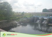 Talud Dam Pancasila di Desa Candimulyo Jombang Rusak, Warga Khawatir Ancam Pasokan Irigasi Sawah