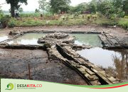 Terungkap! Petirtaan Sumberbeji di Desa Kesamben Jombang Miliki 2 Sumber Air Artesis